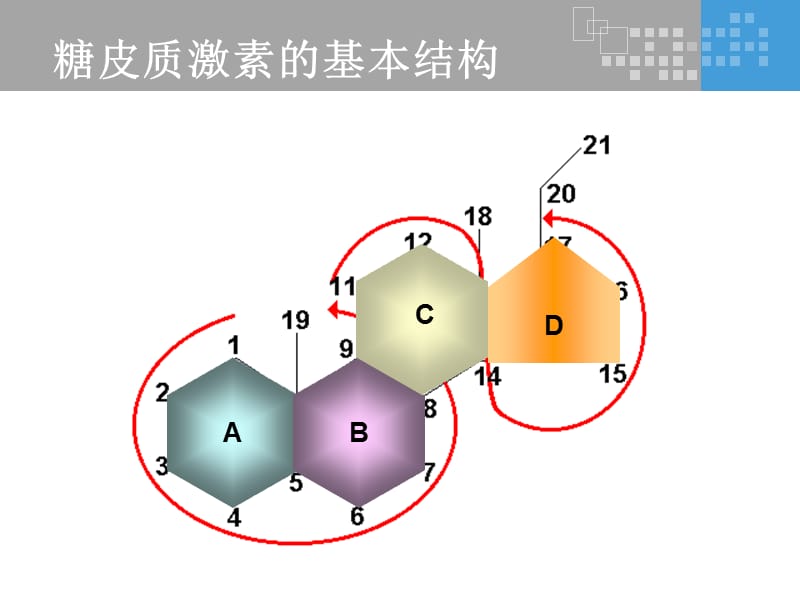 氟轻松是如何发挥其药理作用的？